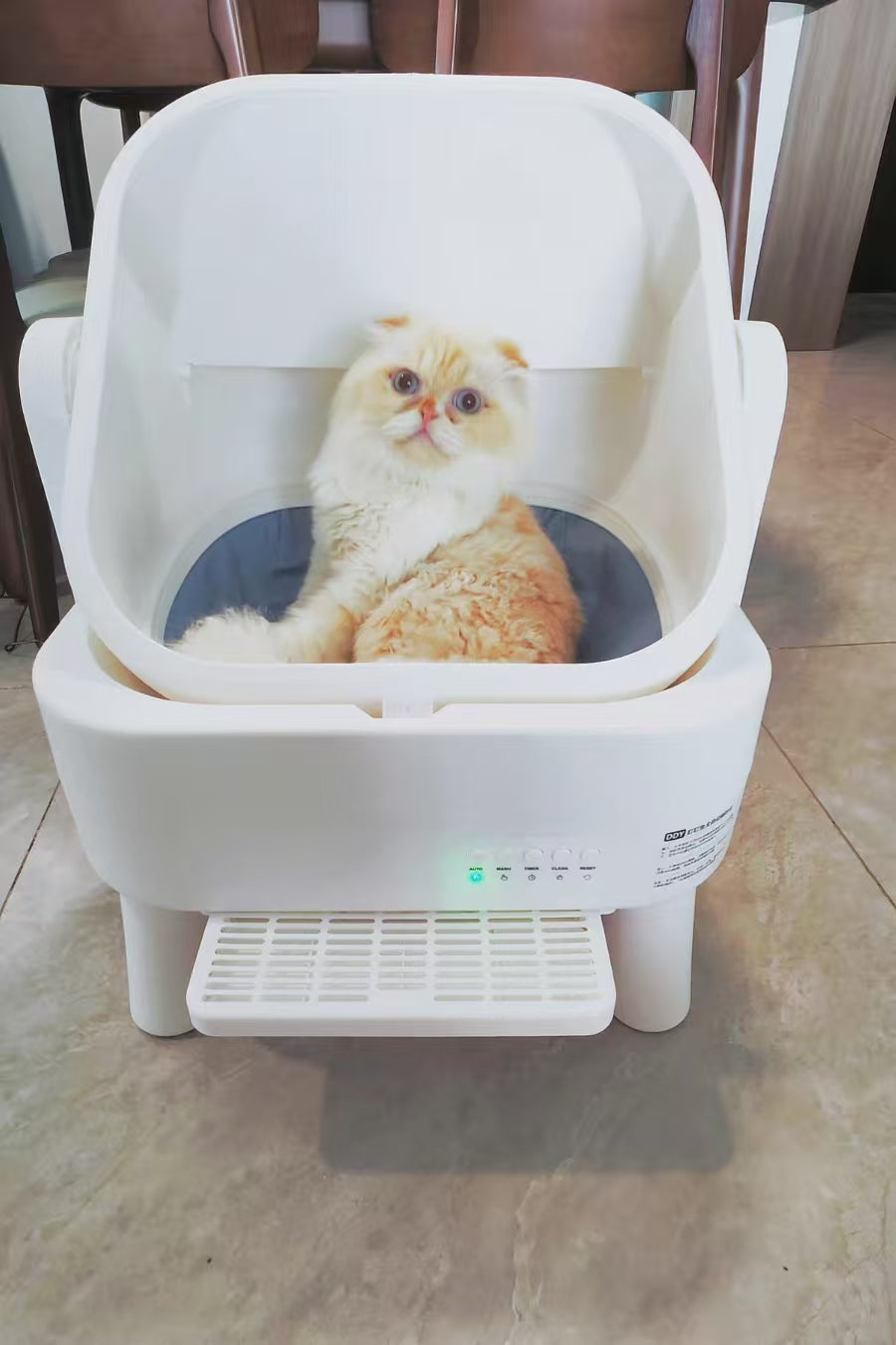 Cat parent home moment