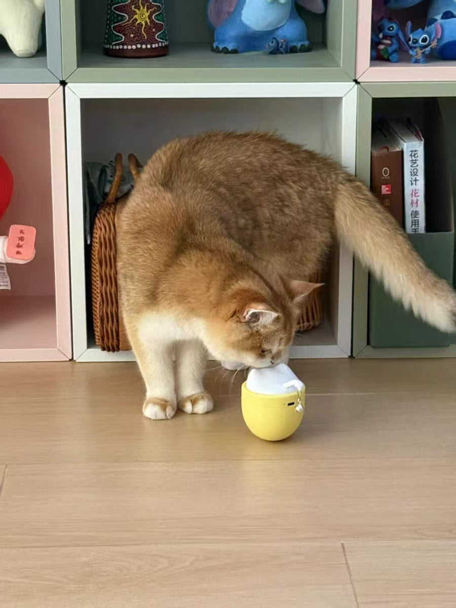 Cat parent home moment