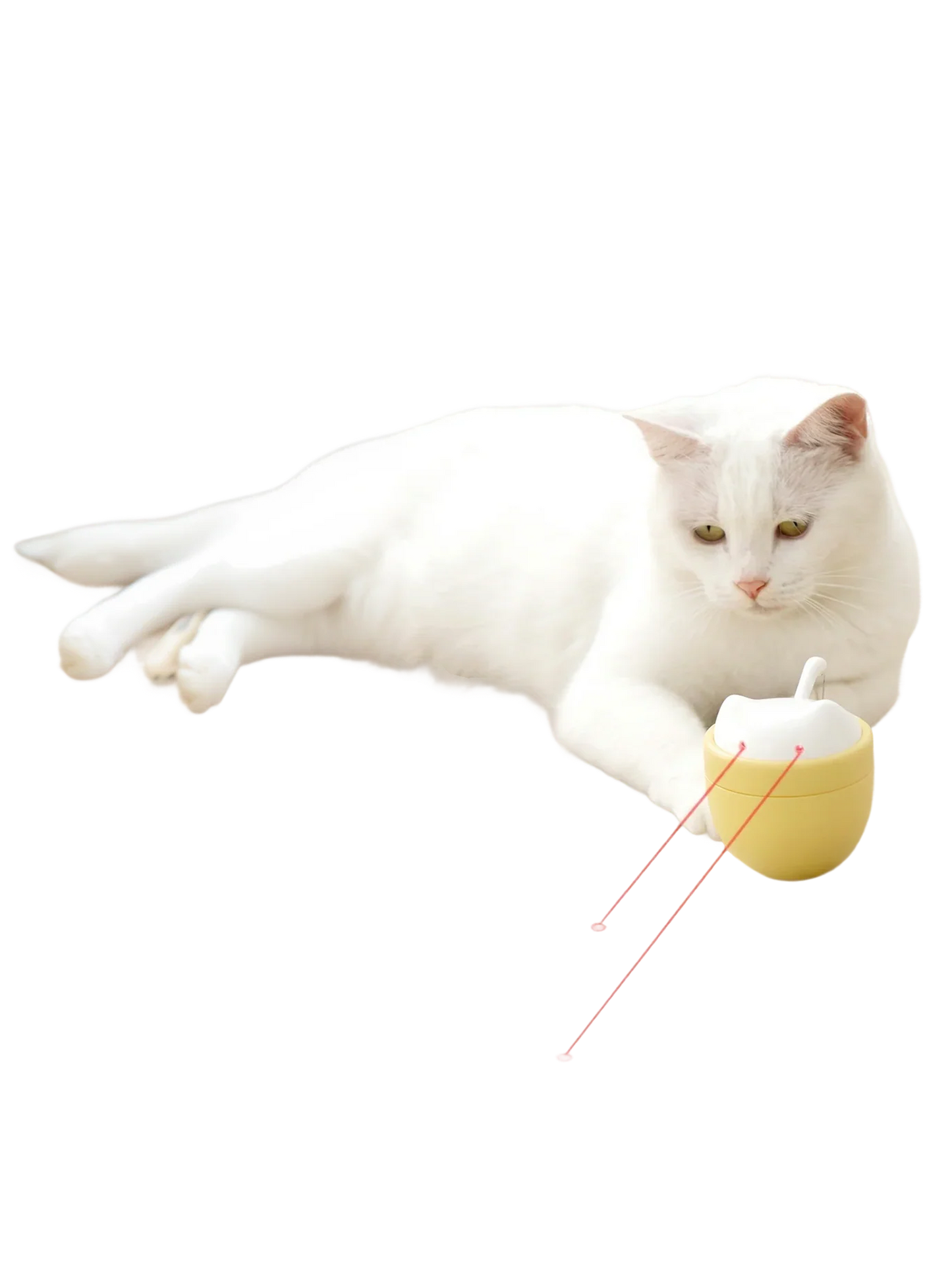 Wobble Laser Cat Toy