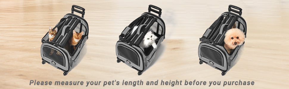 Pet Rolling Carrier