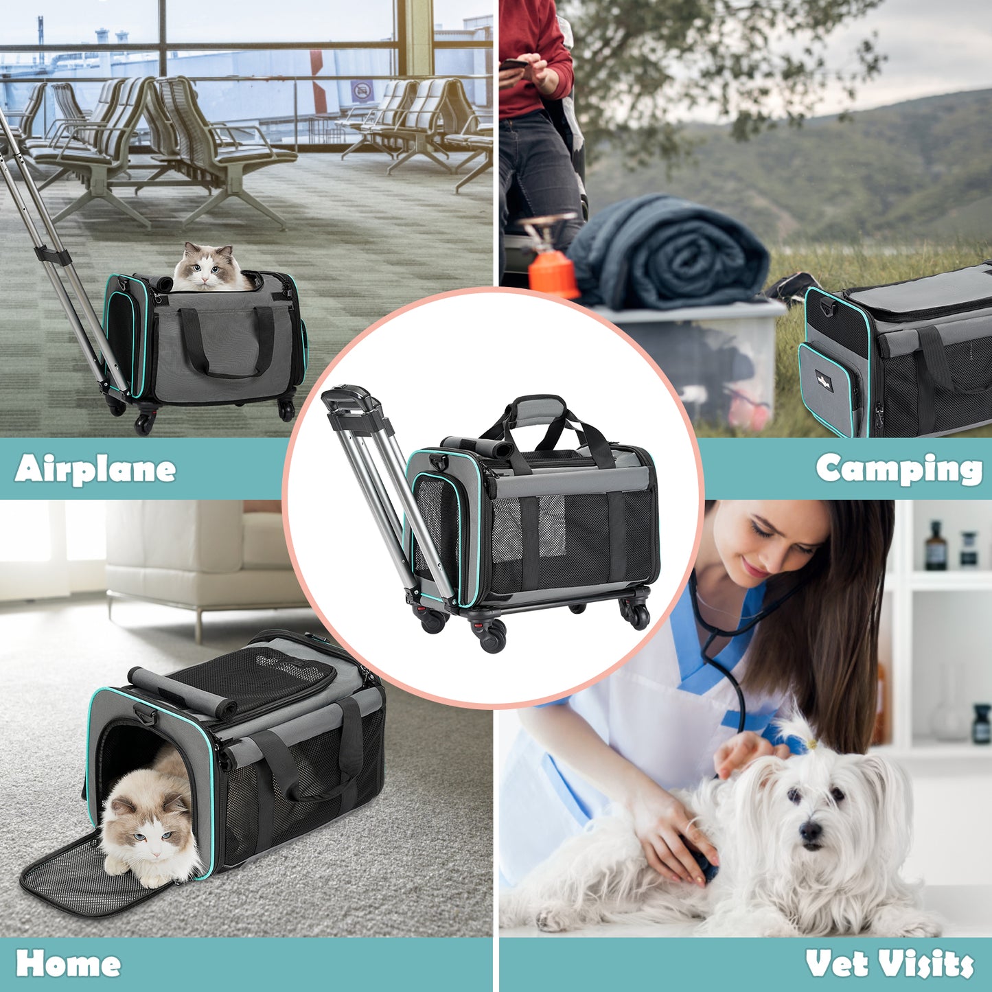 Pet Rolling Carrier