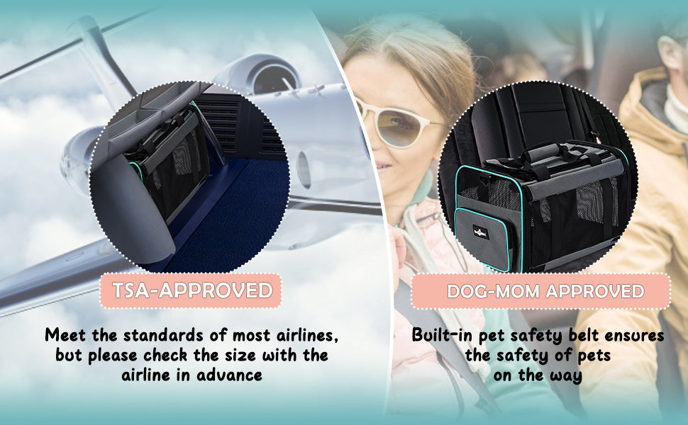 Pet Rolling Carrier