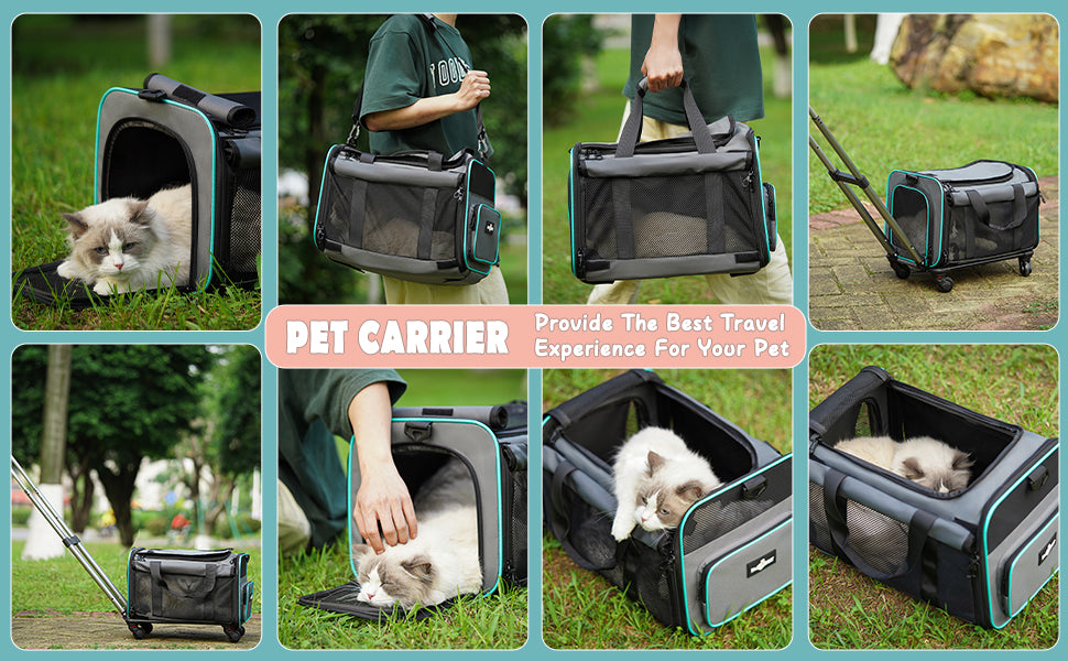Pet Rolling Carrier