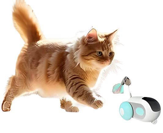 🎁 Smart Interactive Cat Car Toy (Automatic + Remote Control) (100% off)