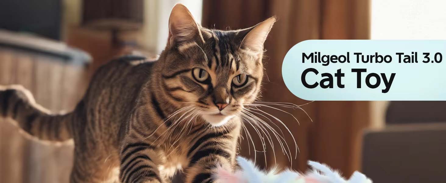 Smart Interactive Cat Car Toy (Automatic + Remote Control)