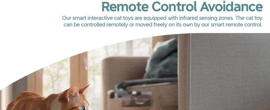 Smart Interactive Cat Car Toy (Automatic + Remote Control)