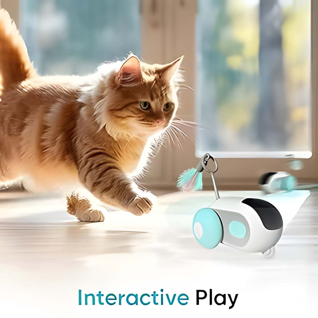 Smart Interactive Cat Car Toy (Automatic + Remote Control)