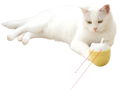 🎁 Dual-Laser Rotating Smart Interactive Cat Toy (100% off)